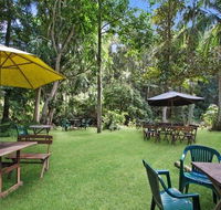 Rainforest - Accommodation Newcastle