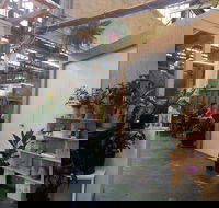 Tiggy - Accommodation Newcastle