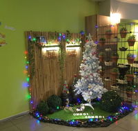 Onggi jonggi - Accommodation Newcastle