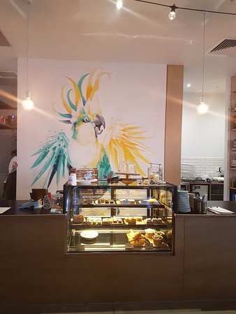 Armstrong Creek ACT Accommodation Newcastle