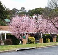 White Lanterns Motel - Accommodation Newcastle
