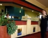 Bell Tower Inn - Accommodation Newcastle 1