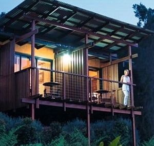 O'Reilly's Rainforest Guesthouse - Accommodation Newcastle 1