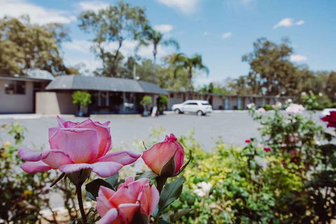 Artesian Spa Motor Inn - Accommodation Newcastle 2