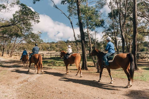 Country Club Villas - Accommodation Newcastle 0