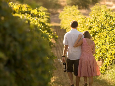 Novotel Barossa Valley Resort - Accommodation Newcastle 1