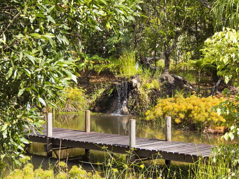 Cedar Park Rainforest Resort - Accommodation Newcastle 0