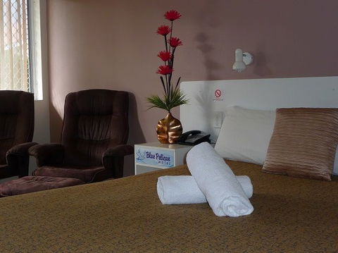 Blue Pelican Motel - Accommodation Newcastle 1