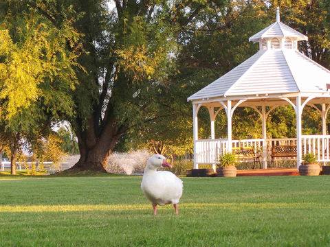 Parklands Resort & Conference Ctr - Accommodation Newcastle 1
