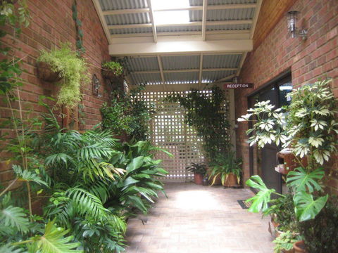 Edge Of The Forest - Accommodation Newcastle 1