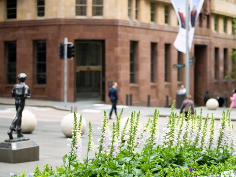 Mercure Sydney Martin Place - Accommodation Newcastle 14