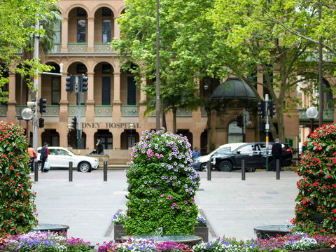 Mercure Sydney Martin Place - Accommodation Newcastle 16