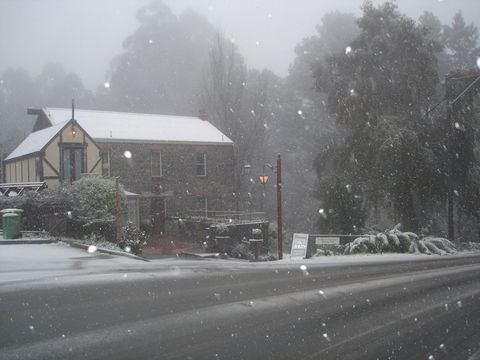 Adeline Bed & Breakfast - Accommodation Newcastle 1