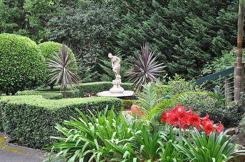 Escarpment Retreat - Accommodation Newcastle 0