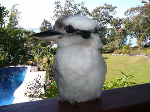 Yarrandabbi Dreaming Boutique B&B - Accommodation Newcastle 2