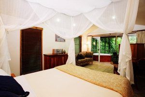 Daintree Eco Lodge & Spa - Accommodation Newcastle 1