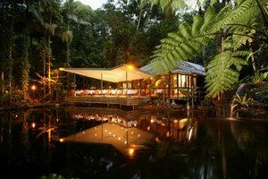 Daintree Eco Lodge & Spa - Accommodation Newcastle 2