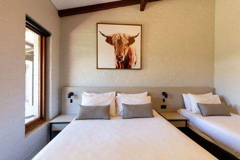Wintersun Hotel - Accommodation Newcastle 2