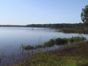 Cabarita Lake Apartments - Accommodation Newcastle 2