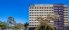 Mantra MacArthur Hotel - Accommodation Newcastle 0