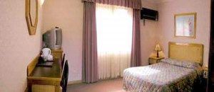 Golden Chain Ascot Motor Inn - Accommodation Newcastle 1