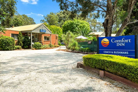 Comfort Inn Coach & Bushmans - Accommodation Newcastle 0