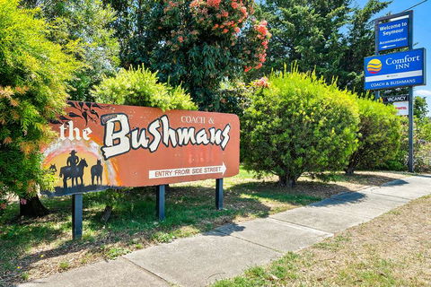 Comfort Inn Coach & Bushmans - Accommodation Newcastle 1