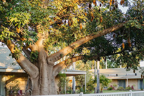 Kimberley Grande Resort & Conf Ctr - Accommodation Newcastle 0