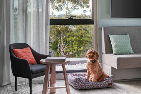 Element Melbourne Richmond - Accommodation Newcastle 2