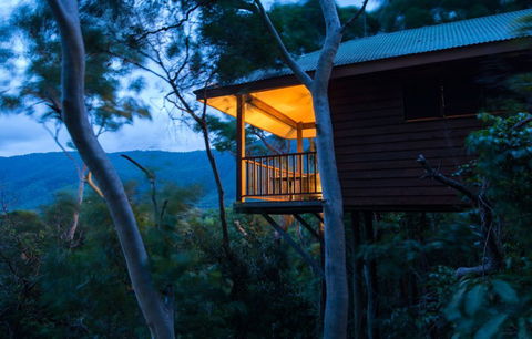 Thala Beach Nature Reserve - Accommodation Newcastle 0