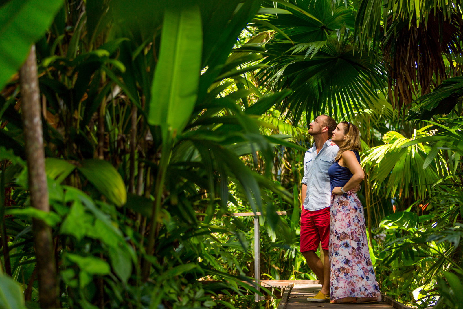 Cairns QLD Accommodation Newcastle