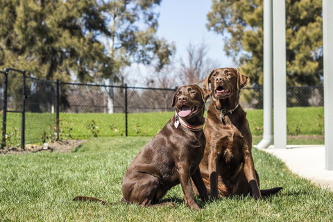 Abode Narrabundah - Accommodation Newcastle 21