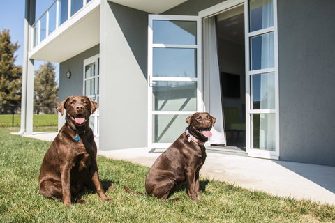 Abode Narrabundah - Accommodation Newcastle 20