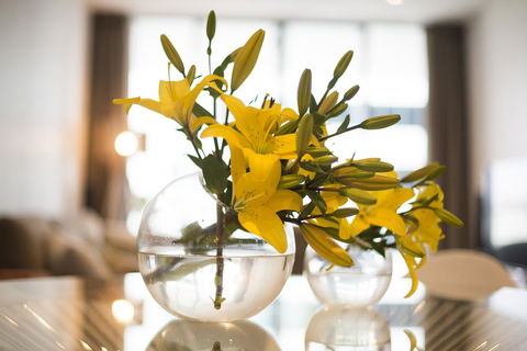 KUI - Manhattan Apartments - Accommodation Newcastle 0