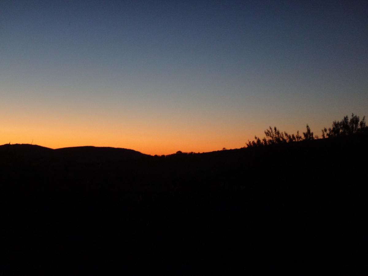  Accommodation Newcastle