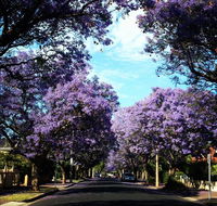 Monaco Court Apartment Adelaide - Accommodation Newcastle