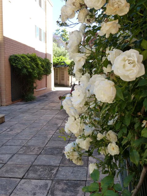 Monaco Court Apartment Adelaide - Accommodation Newcastle 19