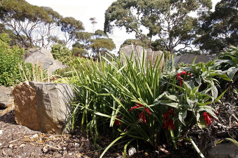 Cape Jervis Holiday Units - Accommodation Newcastle 6