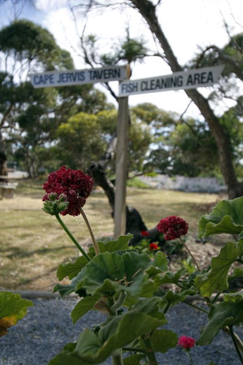 Cape Jervis Holiday Units - Accommodation Newcastle 13