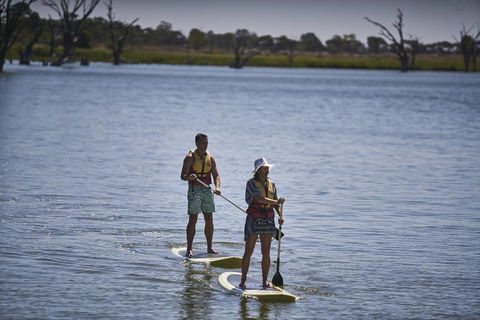 Discovery Parks - Lake Bonney - Accommodation Newcastle 19