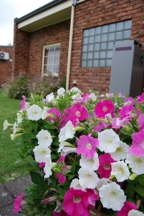 Arkana Motor Inn & Terrace Apartments - Accommodation Newcastle 40