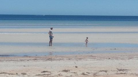 Wallaroo Sunset Home - Accommodation Newcastle 16