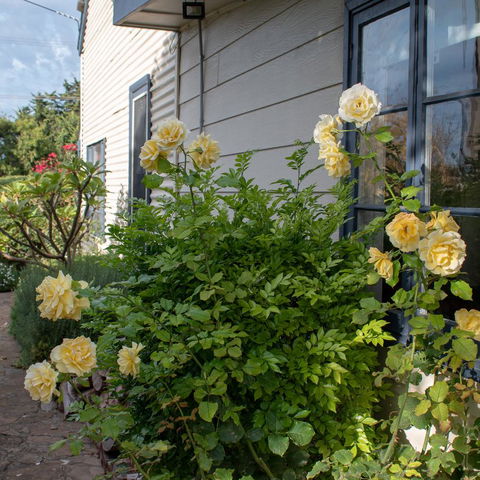 Haven Cottage Kangaroo Island - Accommodation Newcastle 1