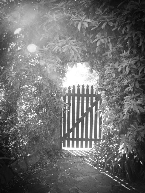 Haven Cottage Kangaroo Island - Accommodation Newcastle 33