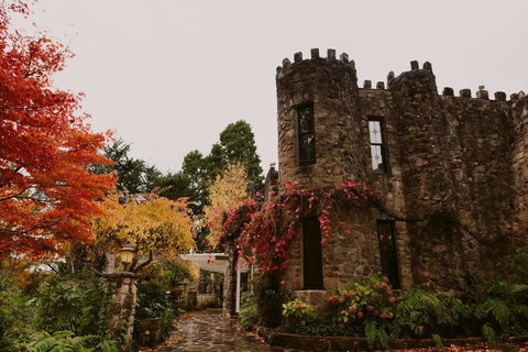 The Manor Basket Range - Accommodation Newcastle 15