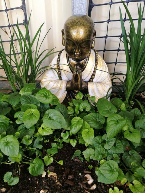 Hilda Anna's - Accommodation Newcastle 44