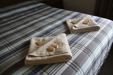 Isis Motel Scone - Accommodation Newcastle 3