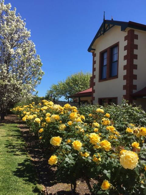 Wine And Roses Bed And Breakfast - Accommodation Newcastle 5
