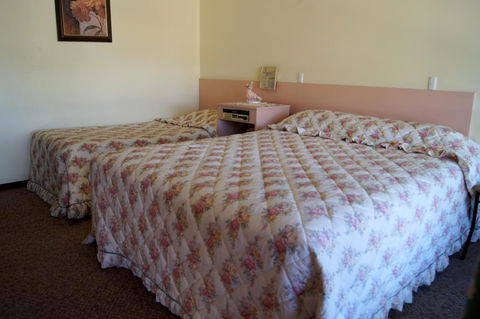 Milang Lakes Motel - Accommodation Newcastle 9