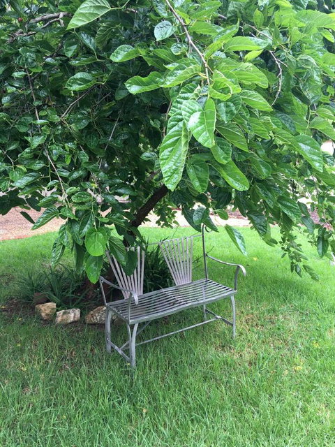 Amy\'s House Bed & Breakfast - Accommodation Newcastle 22